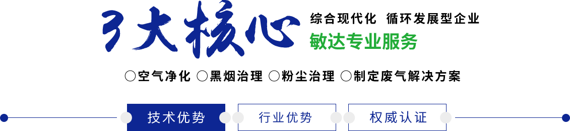 男人插进女人叽叽黄色网站敏达环保科技（嘉兴）有限公司